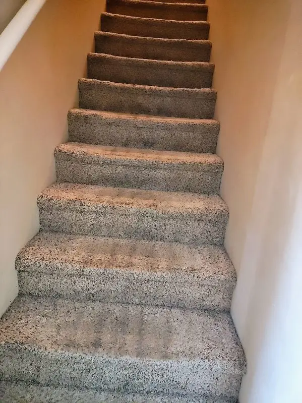 Move In(5)